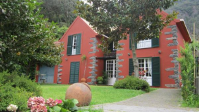 Casa da Camelia